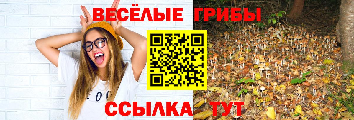 ГАШИШ  Alpha-PVP СК   Кокаин  МЕФ кристаллы  Ачхой-Мартан  Вход с VPN  Канабис  Меф 
